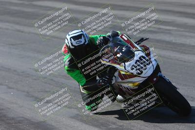 media/Feb-04-2024-SoCal Trackdays (Sun) [[91d6515b1d]]/1-Bowl (950am)/